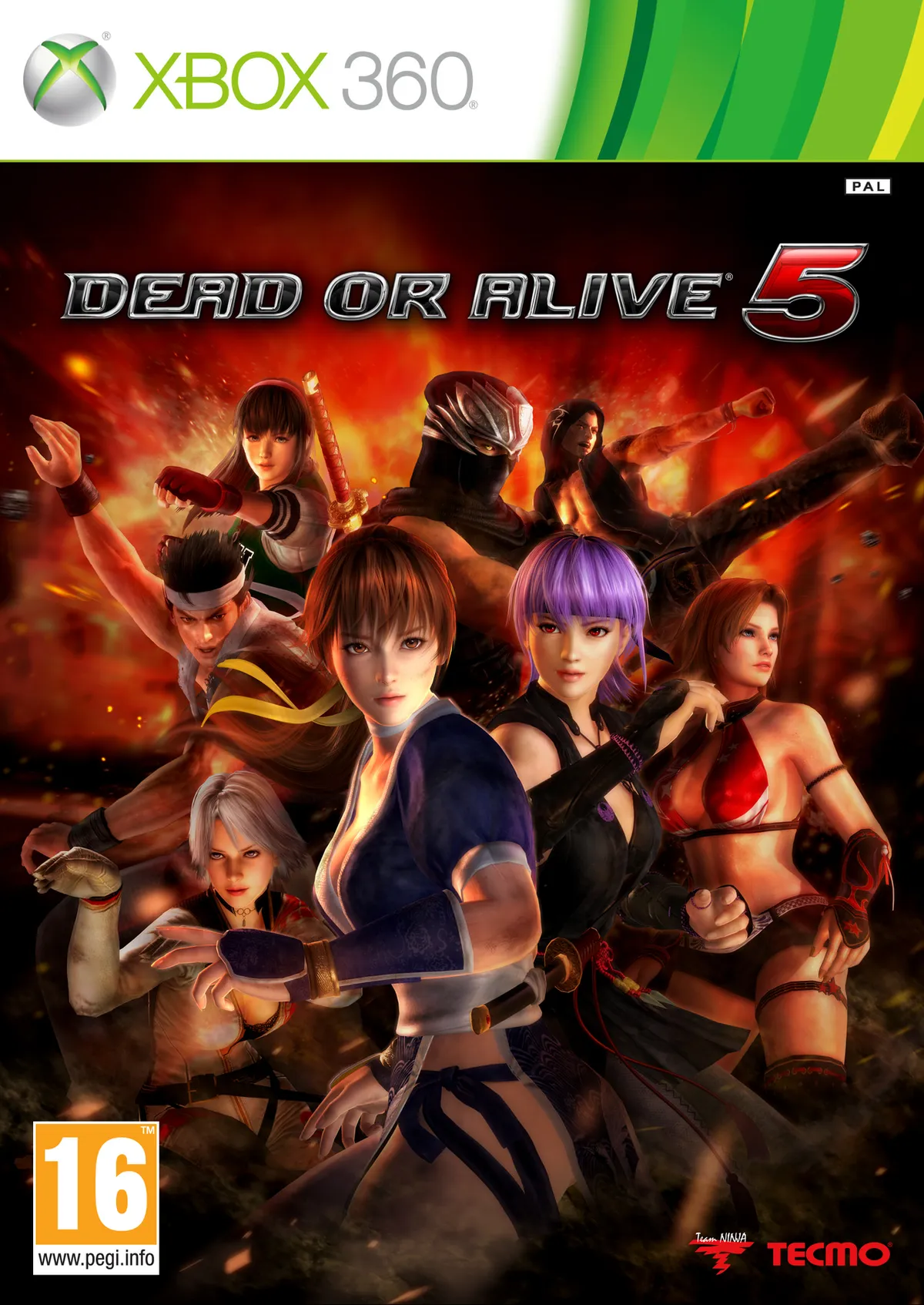 Test Dead or Alive 5, Le combat qui claque encore (ou presque)